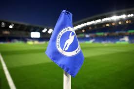 ‘Never a day’s problem’ – Brighton seal transfer for new defender